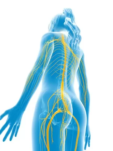 shutterstock 135031922.jpg