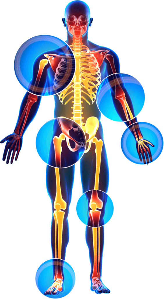 skelton icon large 563x1024 1